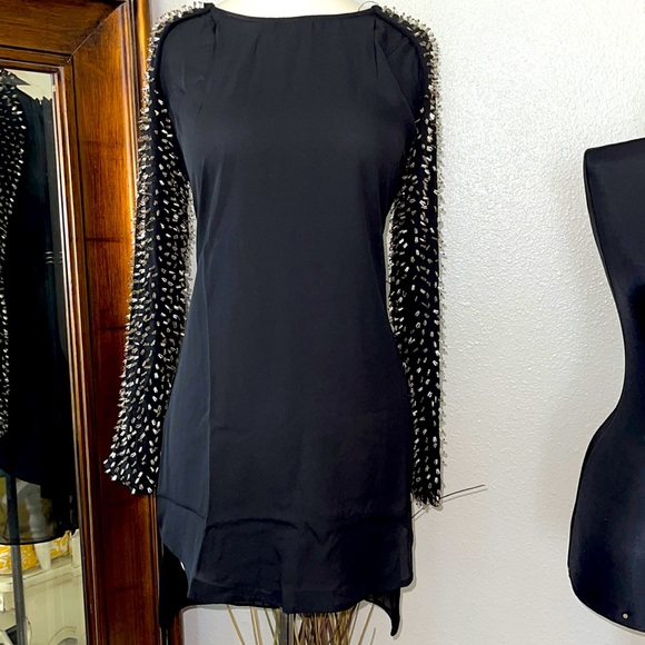 english rose Dresses & Skirts - English Rose Beaded Sleeve Mini Dress